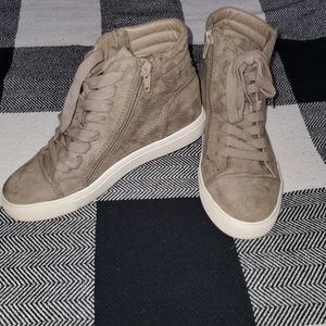 Steve madden sneakers